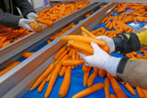 Durable Food Processing